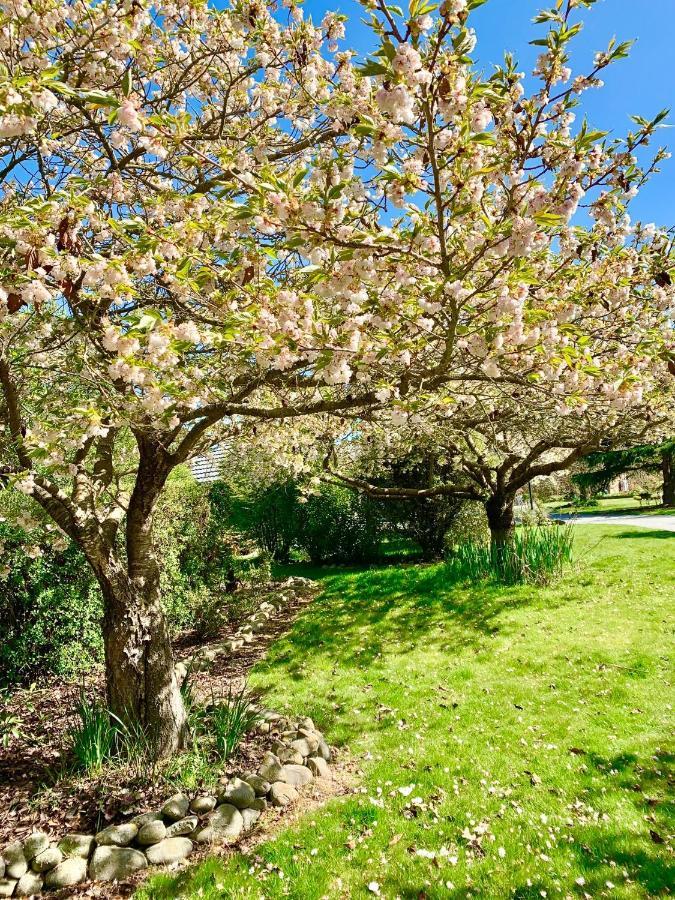 Newlands Bed And Breakfast West Melton Εξωτερικό φωτογραφία