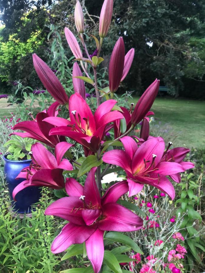 Newlands Bed And Breakfast West Melton Εξωτερικό φωτογραφία